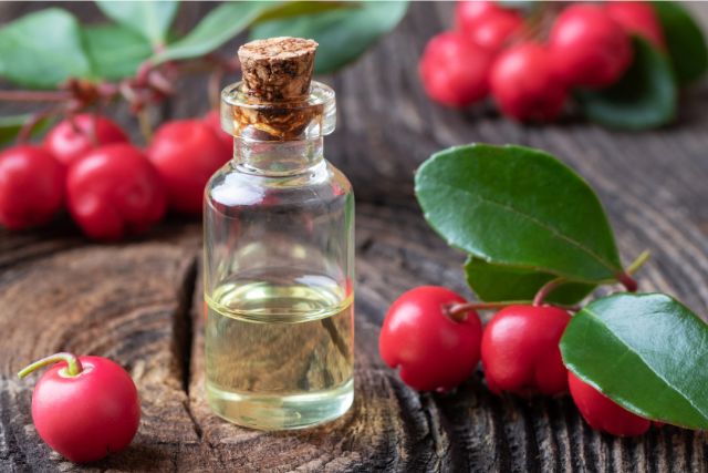 Une bouteille d'huile essentielle de gaulthérie transparente avec un bouchon en liège est déposée sur un tronc d'arbre coupé avec des baies rouges de gaulthérie autour avec leurs feulles vertes